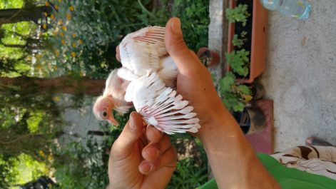 20150613_102835.jpg