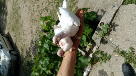 20150620_121021.jpg