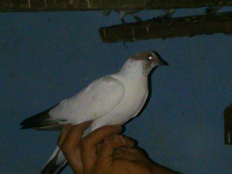 dsc_1179.jpg